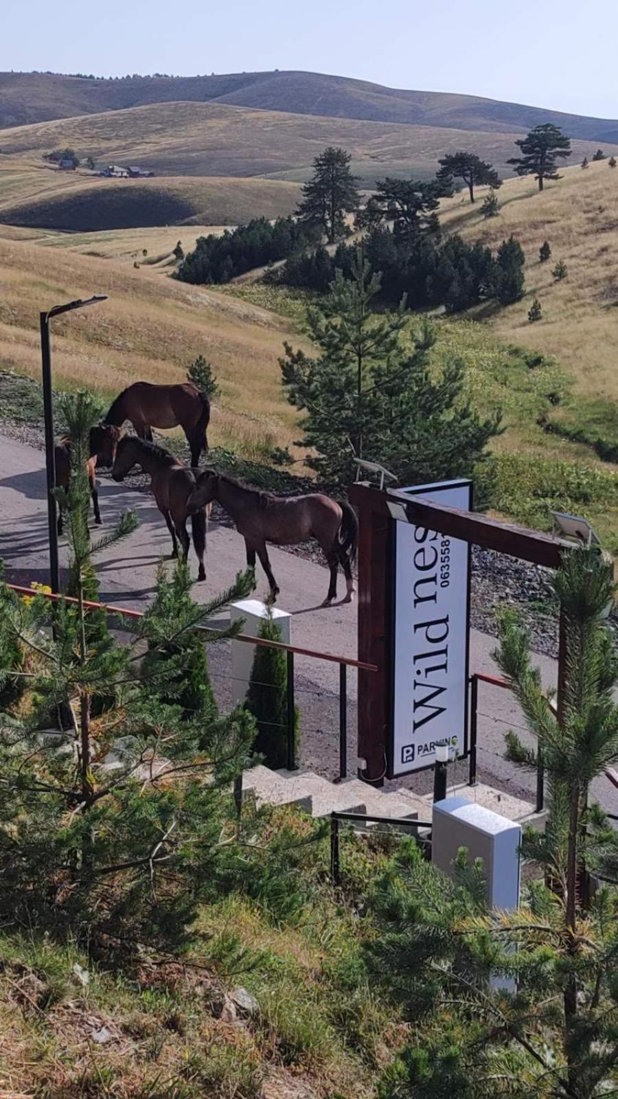 Wild Nest Zlatibor Bear Villa Exterior foto