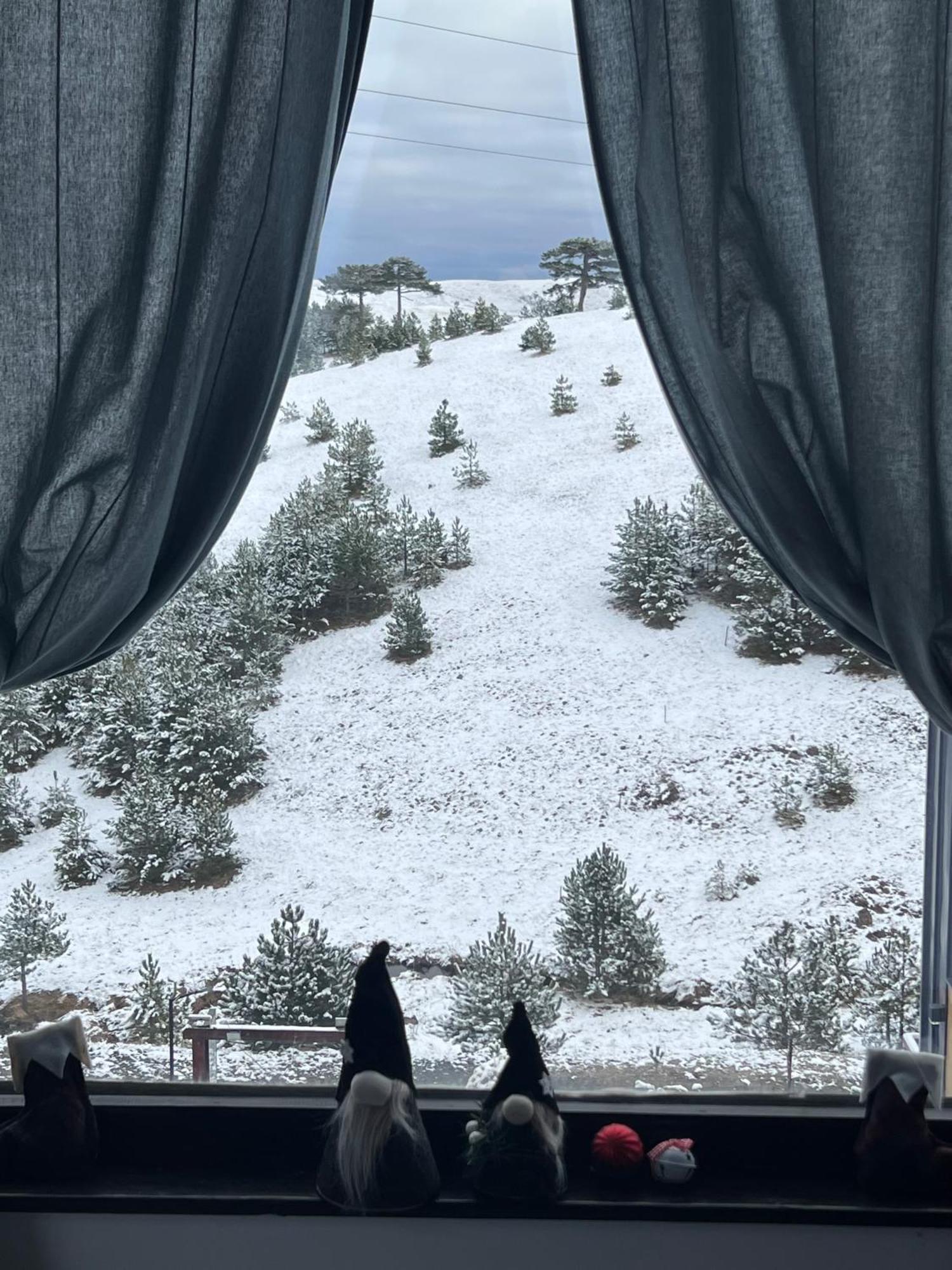 Wild Nest Zlatibor Bear Villa Exterior foto